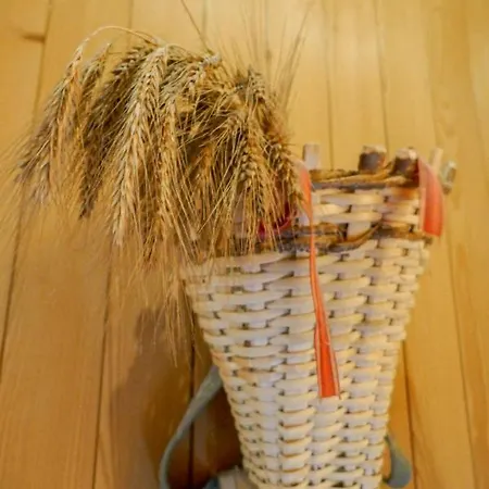 Apartamento Anna By Interhome