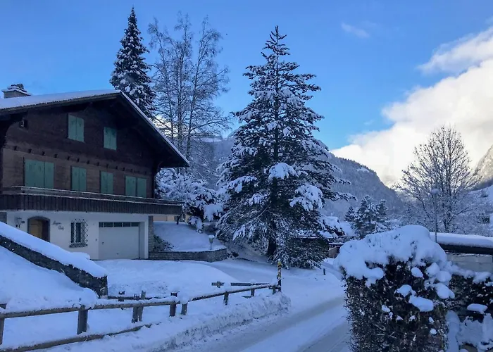 Apartment Chalet Anna By Interhome Apartment